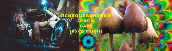 спиды Алзамай