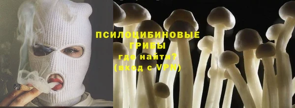 спиды Алзамай