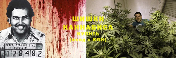 стаф Зерноград