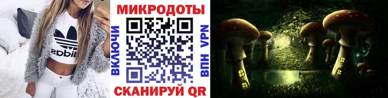 Галлюциногенные грибы Psilocybine cubensis  Аргун 