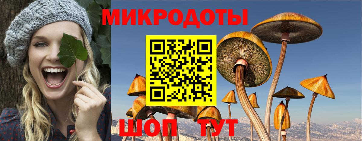 Аргун  Галлюциногенные грибы Psilocybine cubensis  Вход с VPN 